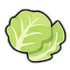 cabbage