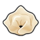 wonton